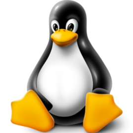 Linux Mascot