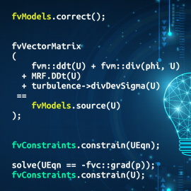 OpenFOAM Models & Constraints